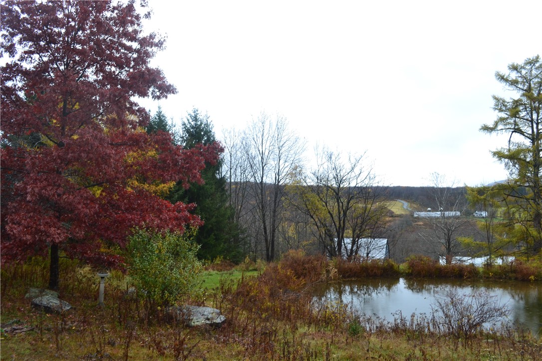 1073 Lower Meeker Hollow Road Roxbury, NY 12474 - Photo 44 of 50 Pond