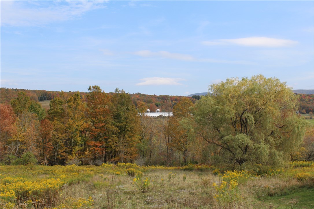 1073 Lower Meeker Hollow Road Roxbury, NY 12474 - Photo 45 of 50 Views