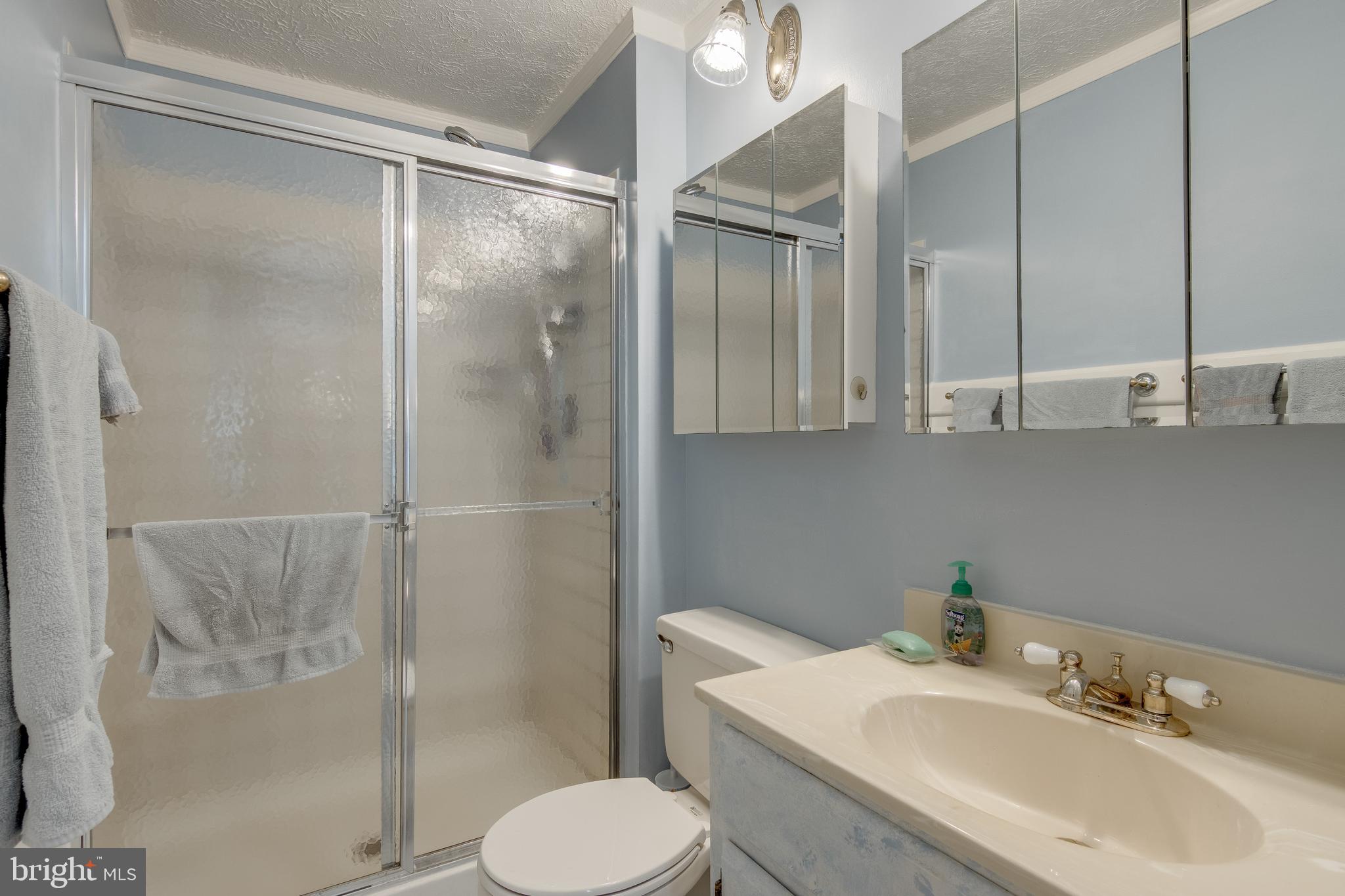 5 Tulip Tree Court Baltimore, MD 21221 - Photo 19 of 40 Master bath