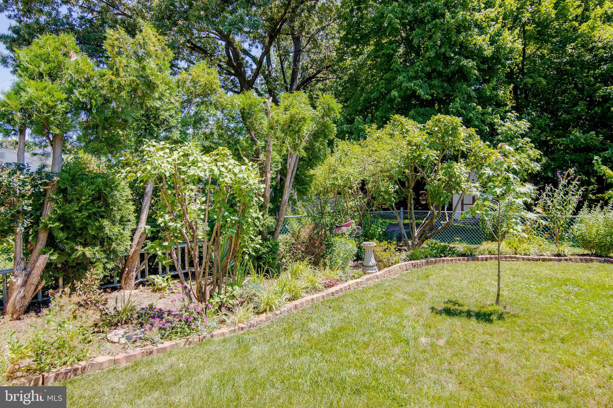 5 Tulip Tree Court Baltimore, MD 21221 - Photo 36 of 40 Mature private yard