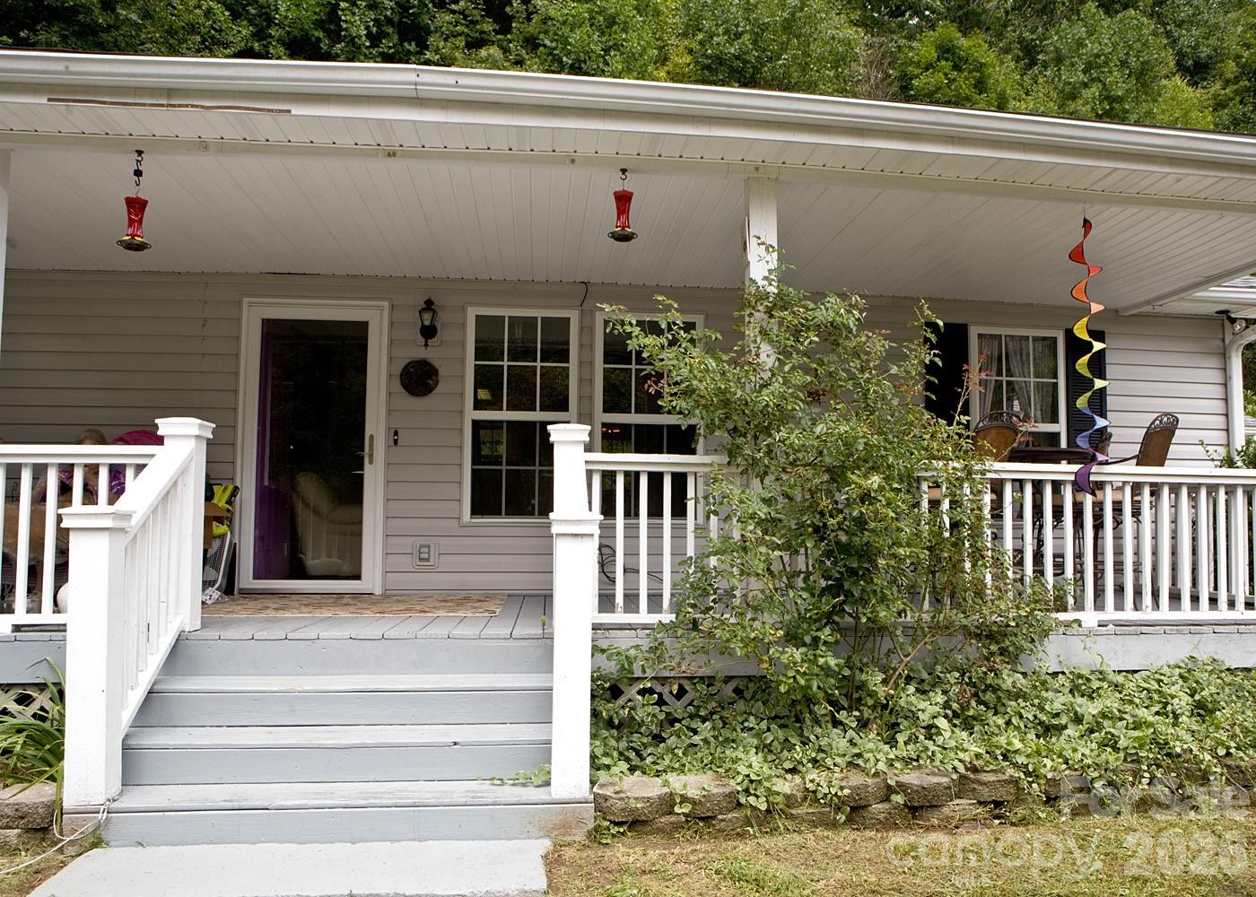 165 Peepeye Cove Road Leicester, NC 28748 - Photo 2 of 24
