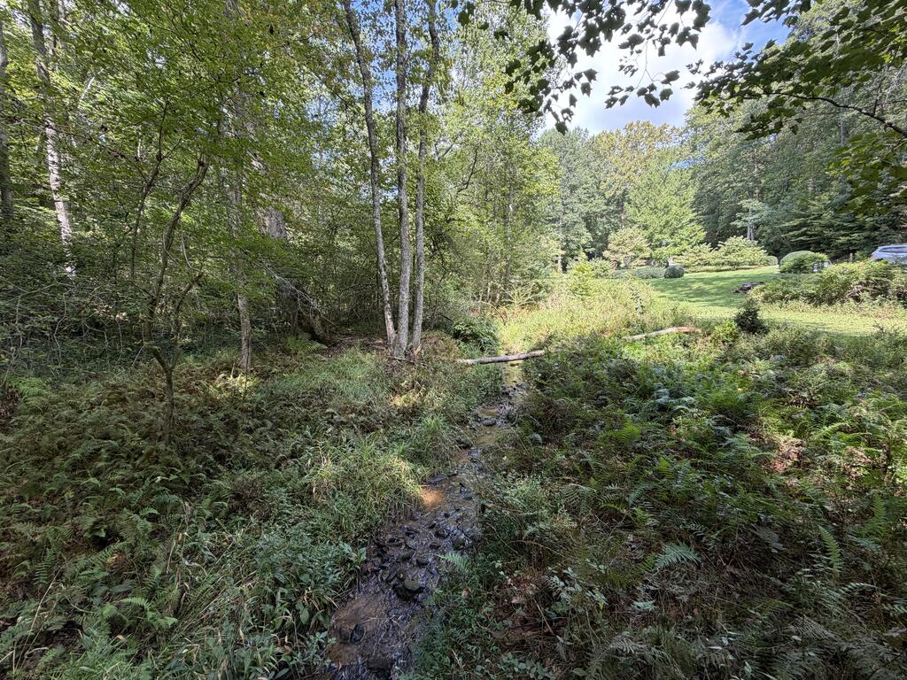 6.13-ac Lucius Road Blue Ridge, GA 30513 - Photo 15 of 21 Gallery Image 15