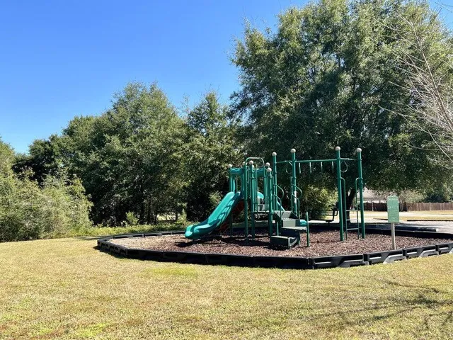 a view of a park with large trees