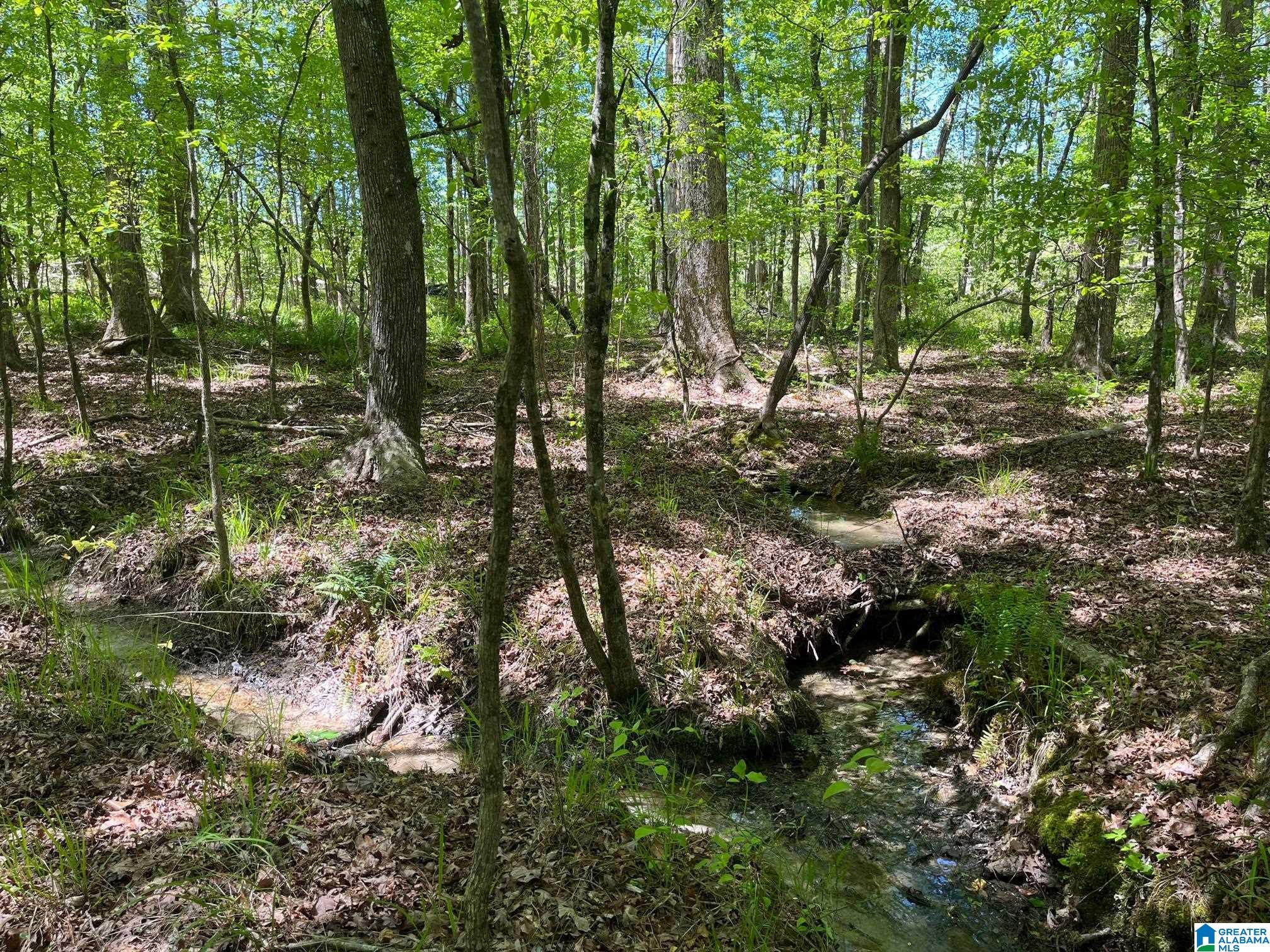 662 Blair Road, Unit 231 AC Ashland, AL 36251 - Photo 7 of 7