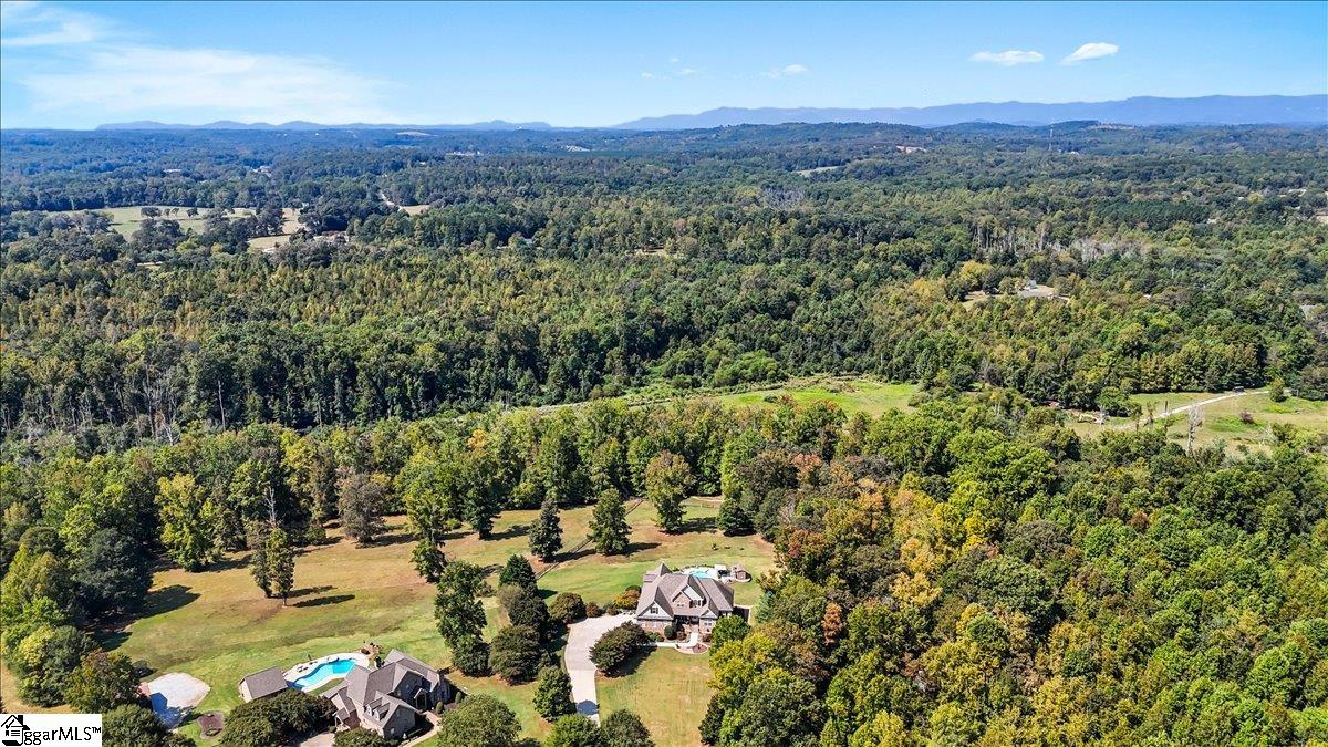 135 Sam Langley Road Travelers Rest, SC 29690 - Photo 46 of 49