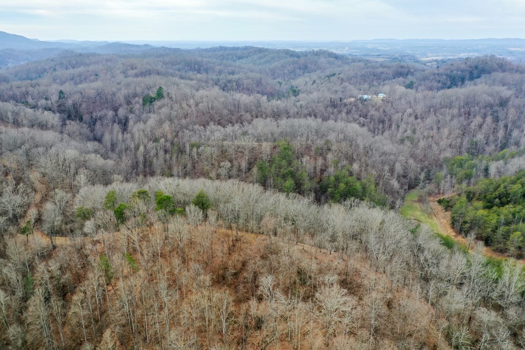 0 Dripping Springs Road Seymour, TN 37865 - Photo 21 of 32 Gallery Image 21