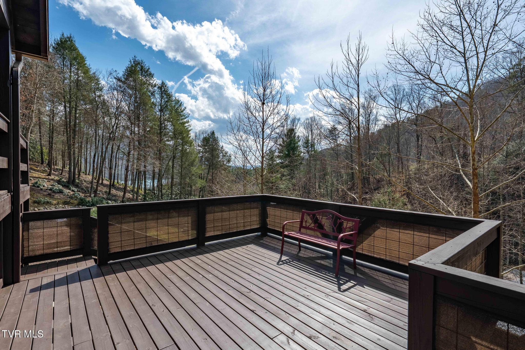 244 Bill Branch Lane Butler, TN 37640 - Photo 21 of 79 244 Bill Branch Lane (51 of 100)