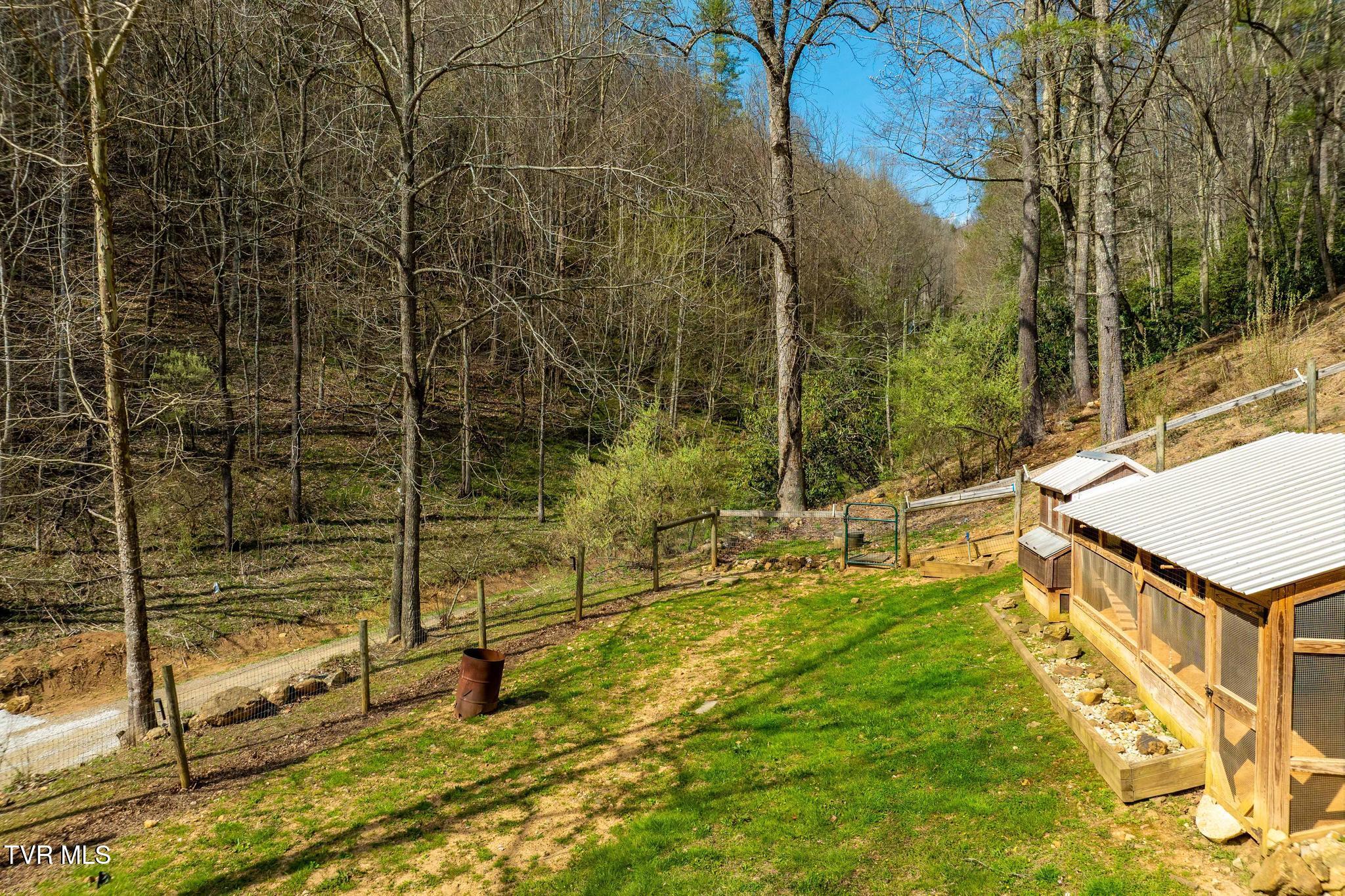 244 Bill Branch Lane Butler, TN 37640 - Photo 64 of 79 244 Bill Branch Lane (28 of 100)