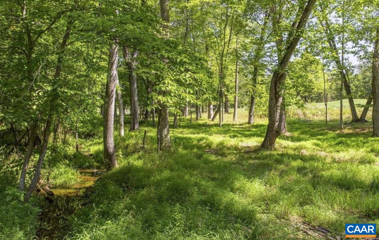 Lot 4 Club Drive Keswick, VA 22947 - Photo 2 of 5 a view of outdoor space with trees all around