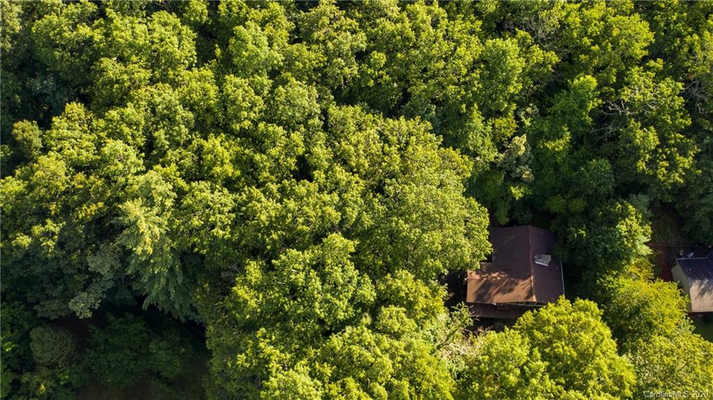 323 Carters Ridge Road Spruce Pine, NC 28777 - Photo 41 of 45 Gallery Image 41