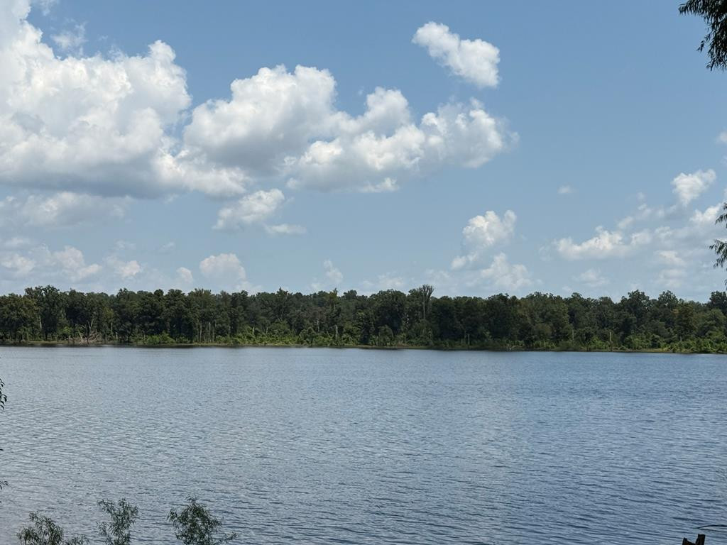 781 Minorca Road Vidalia, LA 71373 - Photo 1 of 10 Main View
