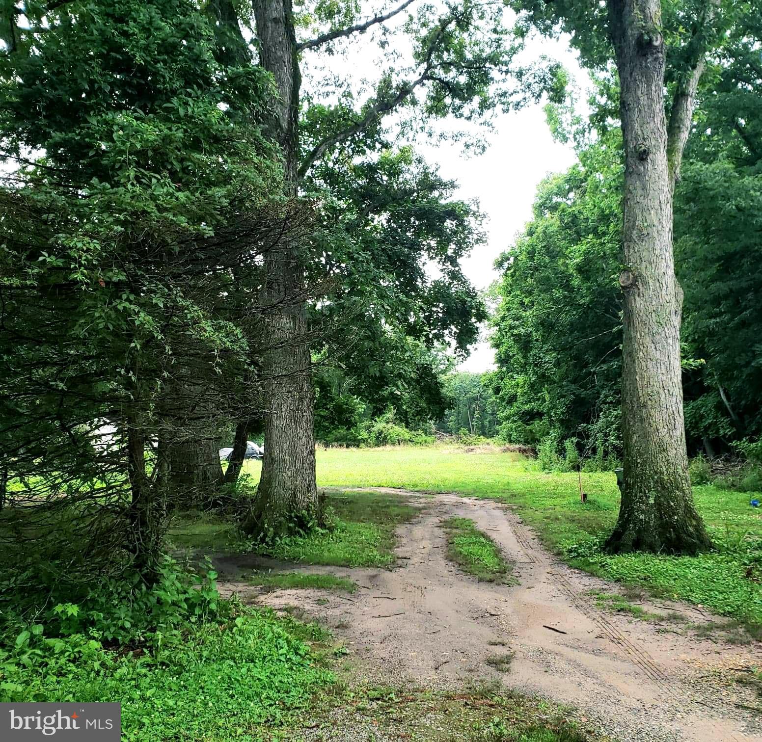 1722 Winslow Road Williamstown, NJ 08094 - Photo 2 of 12 Driveway leading back to remaining acreage