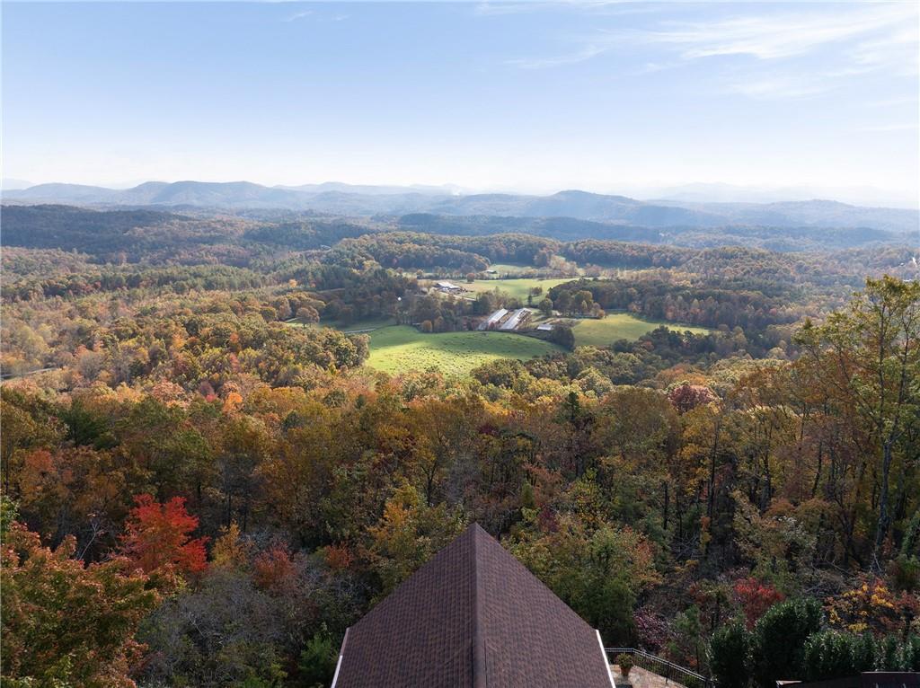 38 Jackies Bluff Road Mineral Bluff, GA 30559 - Photo 53 of 54