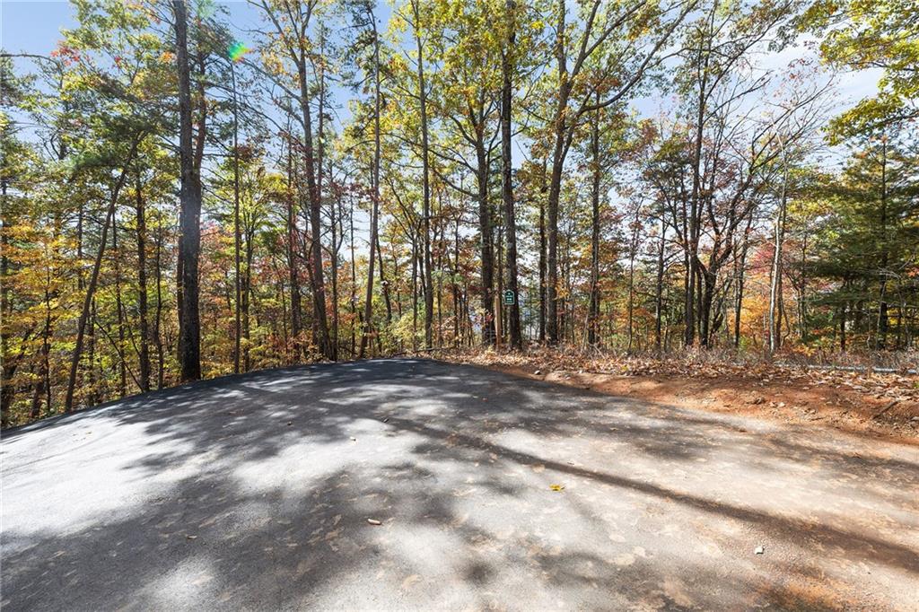 38 Jackies Bluff Road Mineral Bluff, GA 30559 - Photo 54 of 54