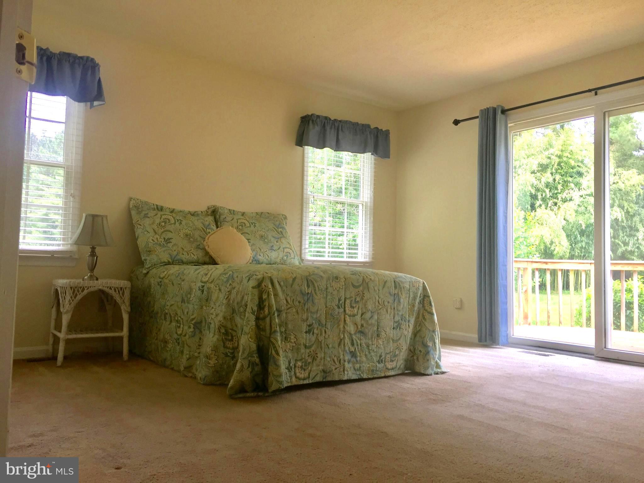 28700 Earthlite Road Wye Mills, MD 21679 - Photo 19 of 33 Gallery Image 19