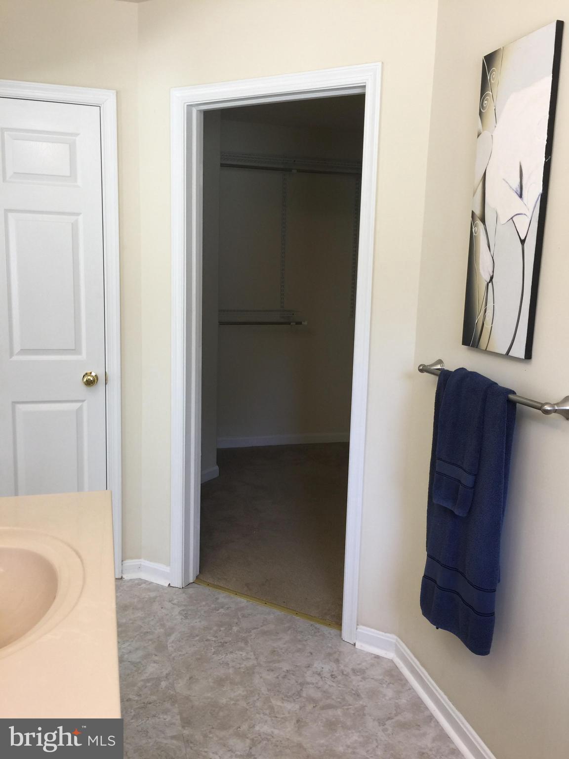 28700 Earthlite Road Wye Mills, MD 21679 - Photo 25 of 33 Gallery Image 25