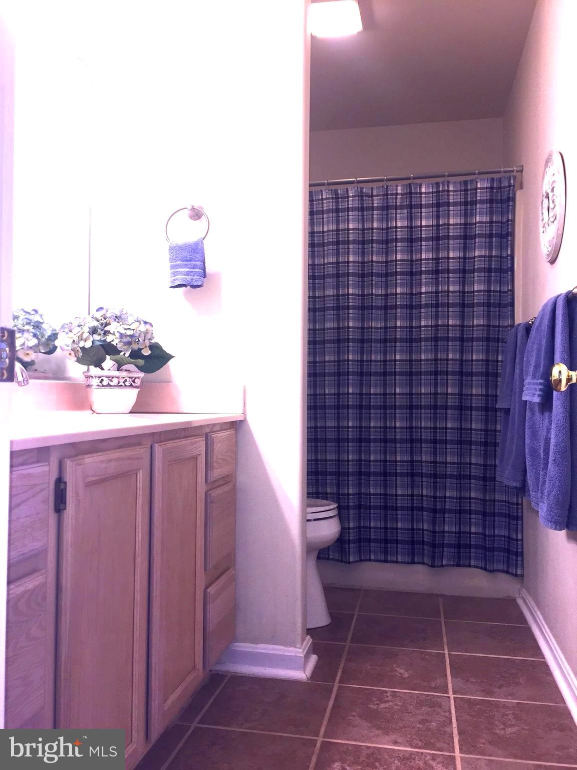 28700 Earthlite Road Wye Mills, MD 21679 - Photo 26 of 33 Gallery Image 26