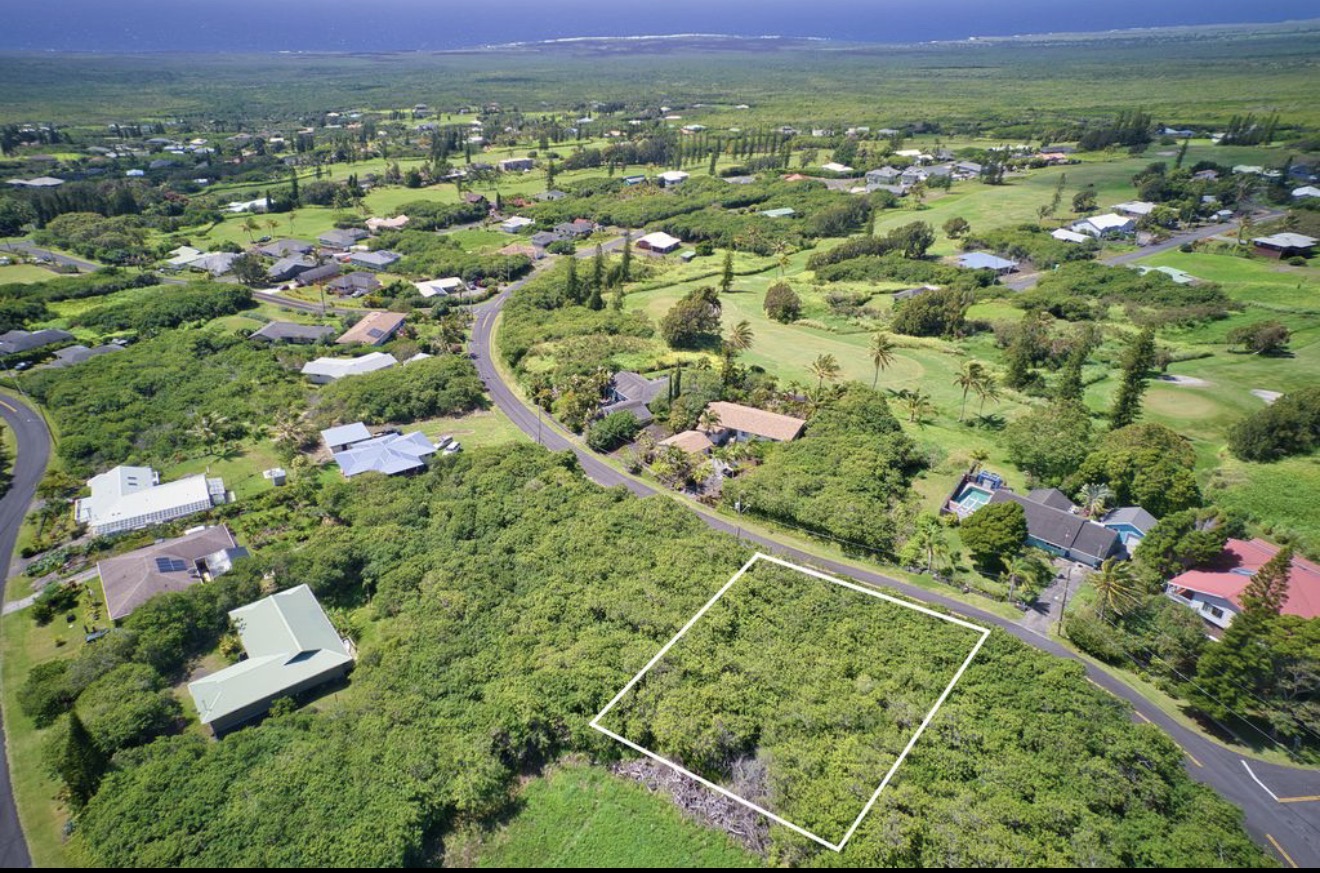 384 Kaulua Street Naalehu, HI 96772 - Photo 1 of 12 an aerial view of residential houses with outdoor space and trees