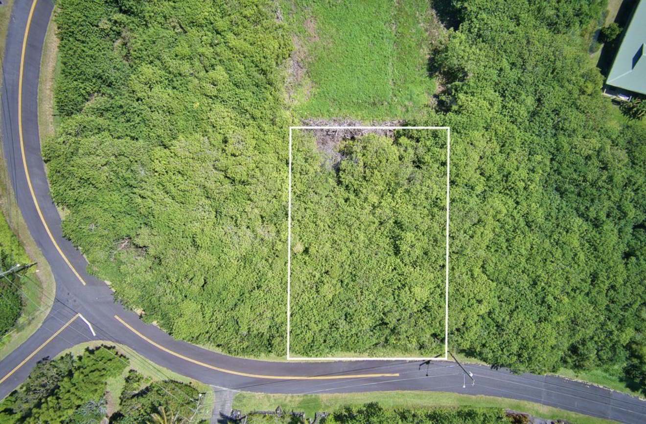 384 Kaulua Street Naalehu, HI 96772 - Photo 2 of 12 a view of a garden