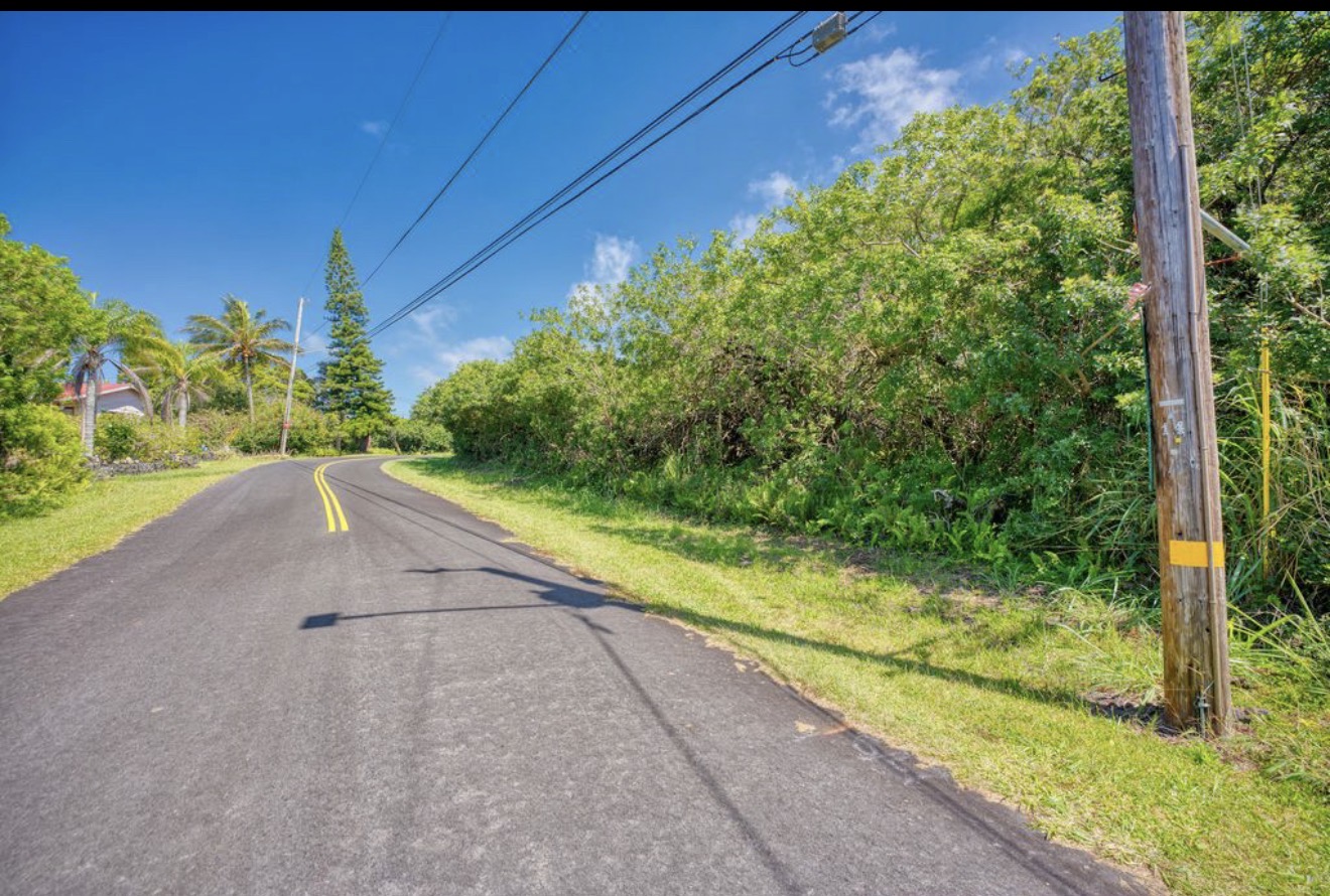 384 Kaulua Street Naalehu, HI 96772 - Photo 3 of 12 a view of a yard with plants