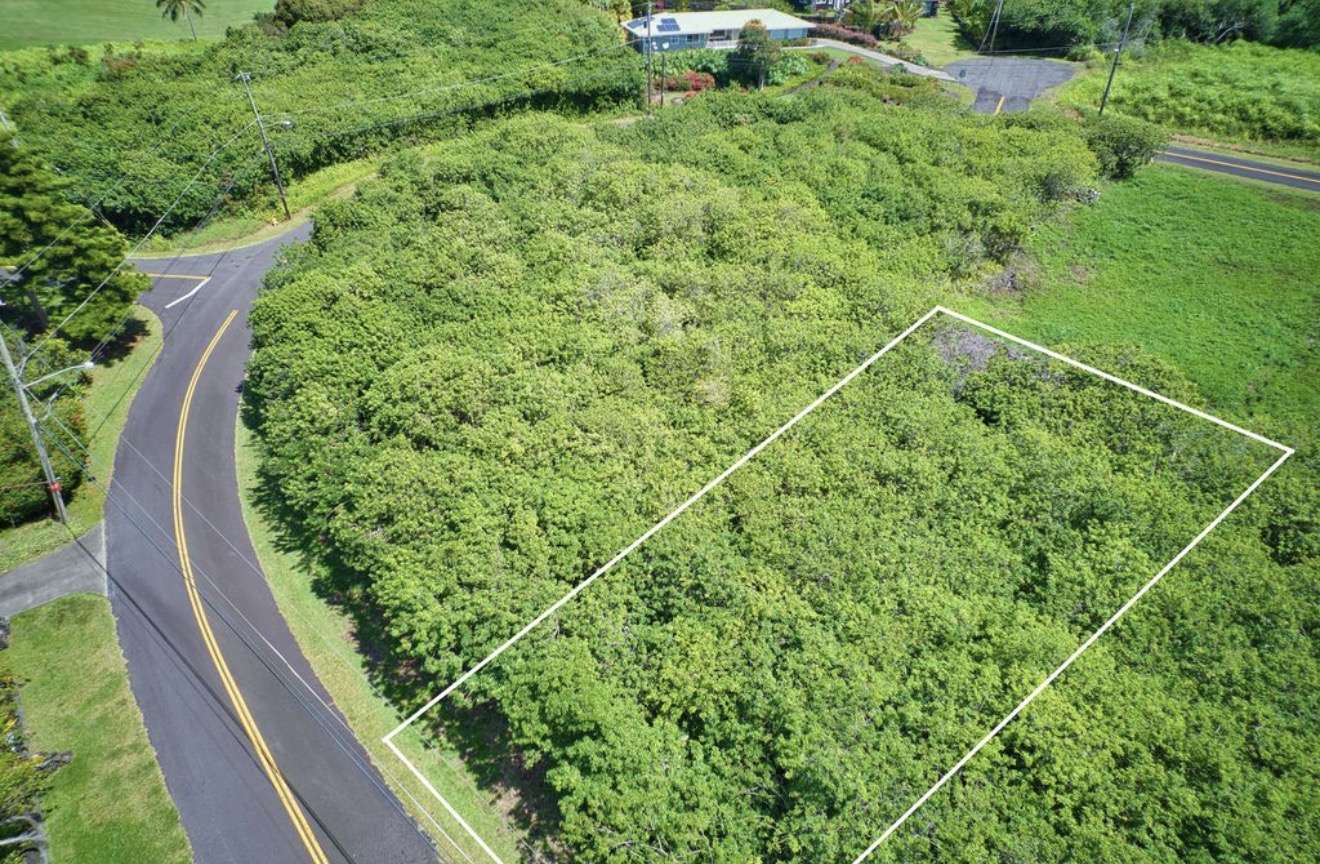 384 Kaulua Street Naalehu, HI 96772 - Photo 4 of 12 a view of a yard with plants