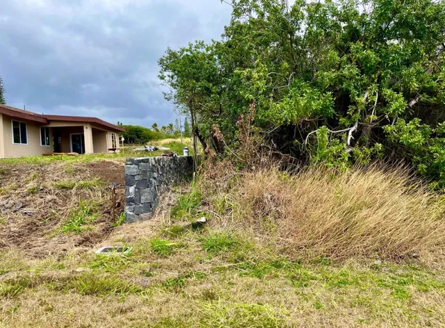 a view of a yard with large trees