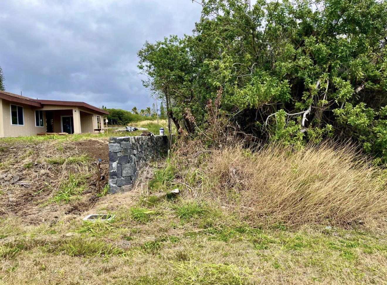 384 Kaulua Street Naalehu, HI 96772 - Photo 7 of 12 a backyard of a house with plants and large trees