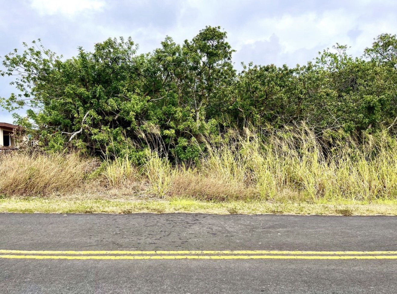 384 Kaulua Street Naalehu, HI 96772 - Photo 8 of 12 a view of a yard with large trees
