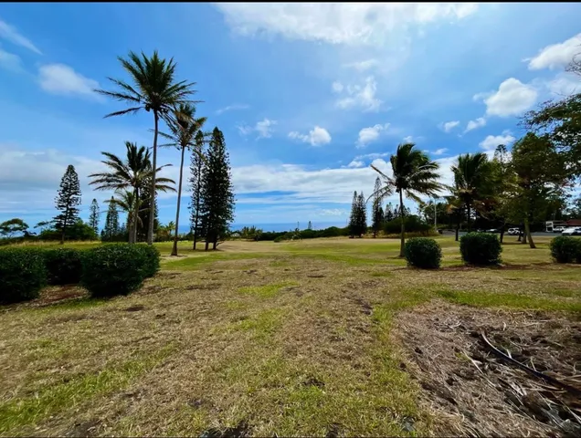 $89,000 | 384 Kaulua Street, Naalehu, HI 96772