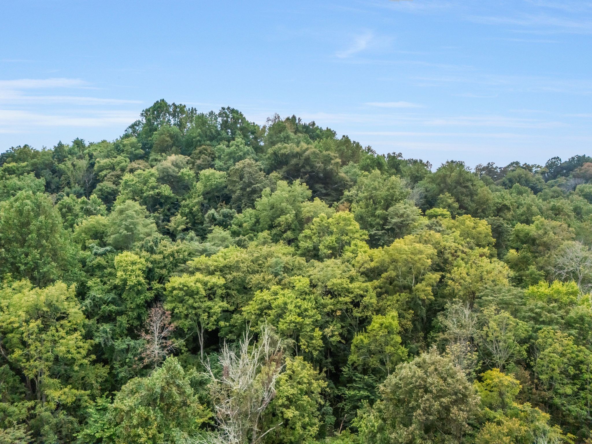 0 Poplar Flatt Road Silver Point, TN 38582 - Photo 18 of 23