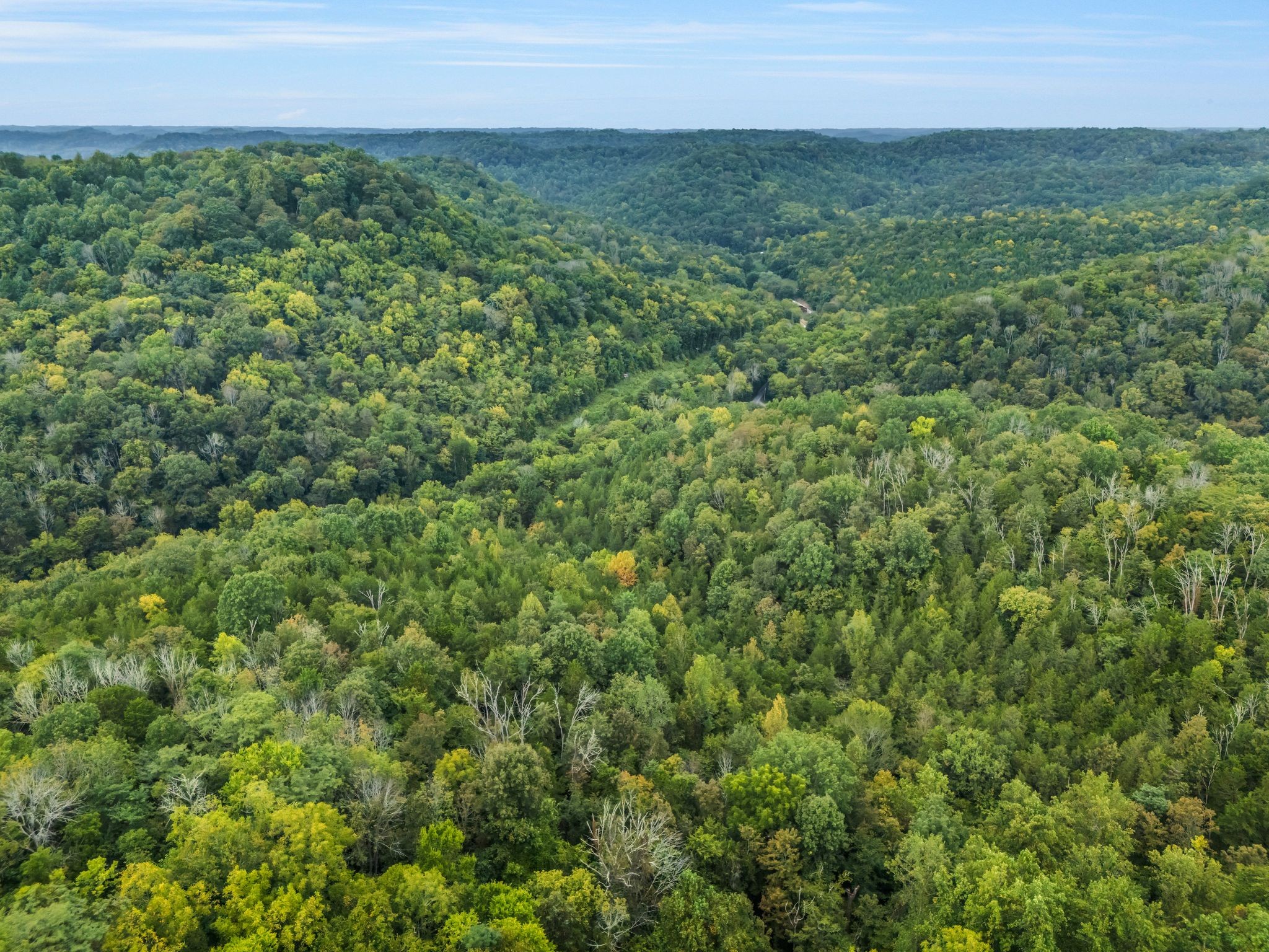 0 Poplar Flatt Road Silver Point, TN 38582 - Photo 23 of 23 a view of a field of grass and trees