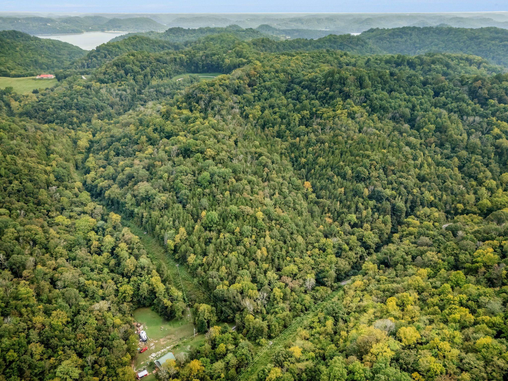 0 Poplar Flatt Road Silver Point, TN 38582 - Photo 3 of 23 a view of a lush green forest with a lush green forest