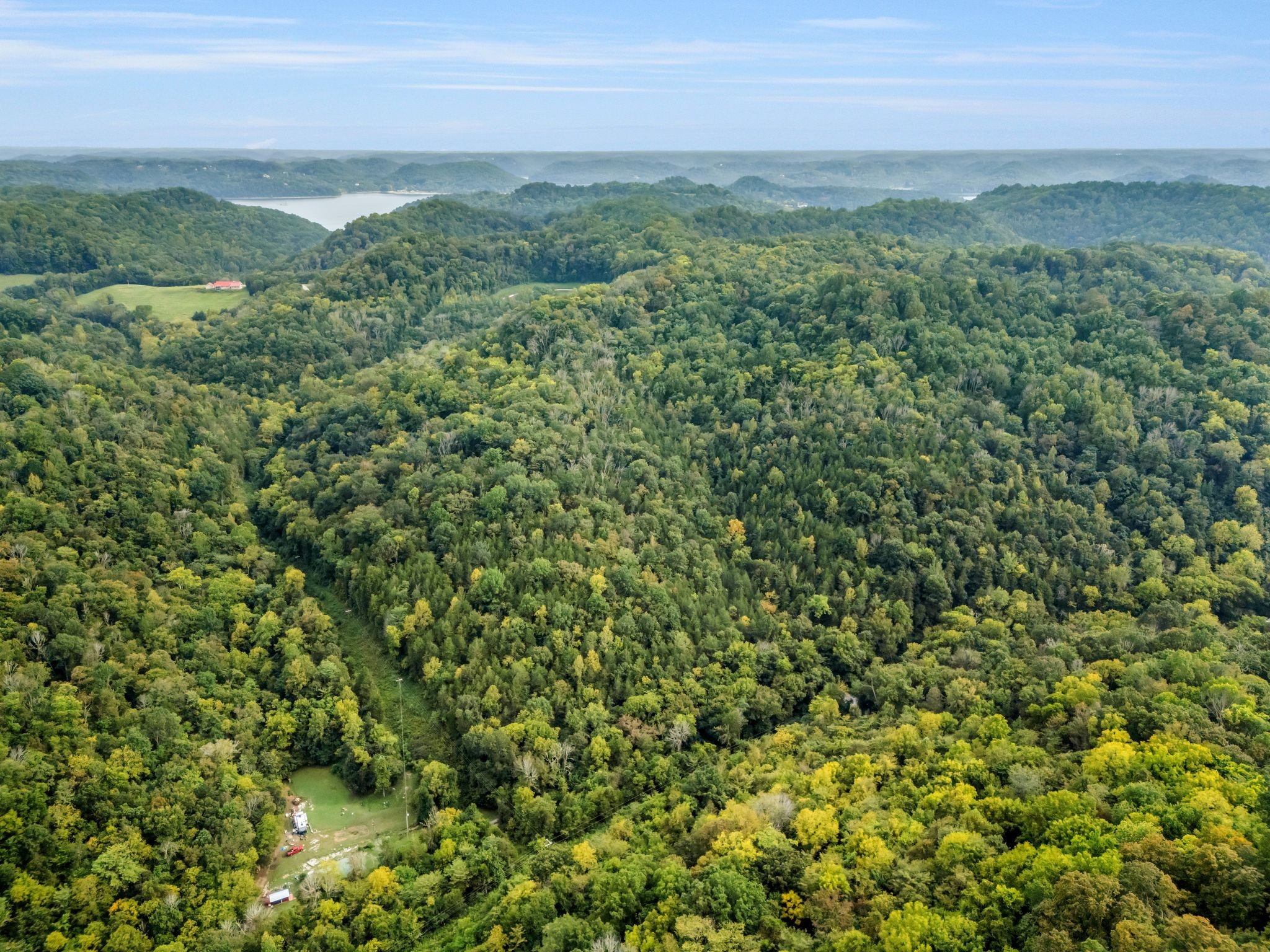 0 Poplar Flatt Road Silver Point, TN 38582 - Photo 4 of 23 a view of a green field with lots of bushes