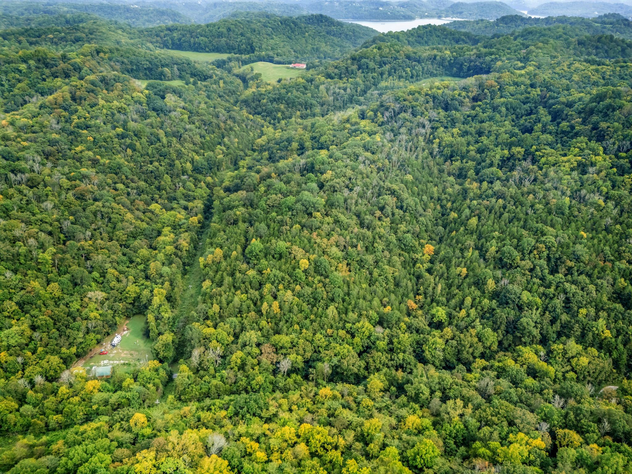 0 Poplar Flatt Road Silver Point, TN 38582 - Photo 5 of 23 a view of a lush green forest with a lush green forest