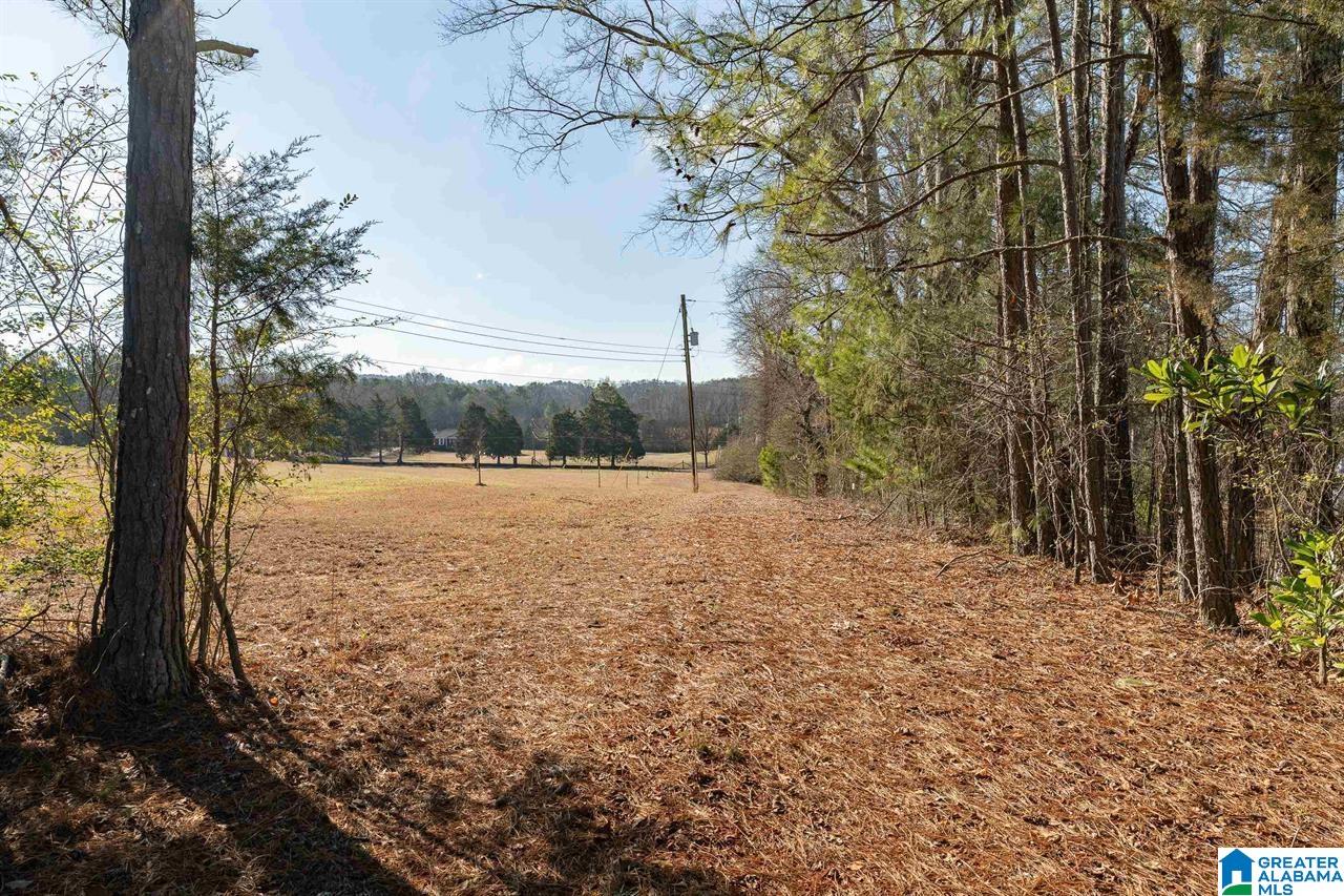 510 Cobb Road Oxford, AL 36203 - Photo 17 of 17