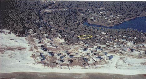 Primary Photo