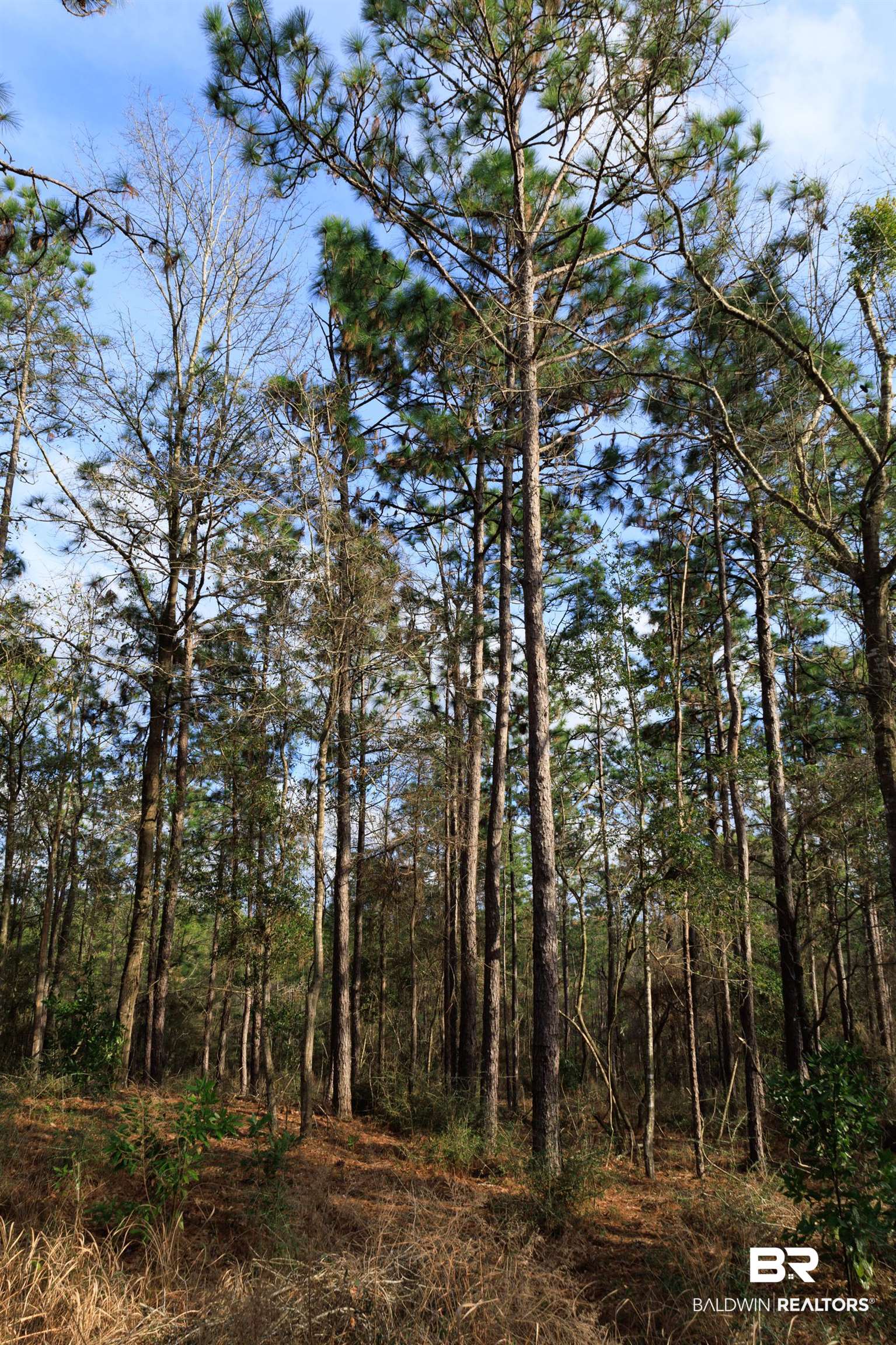 0 Bromley Road Daphne, AL 36527 - Photo 8 of 16