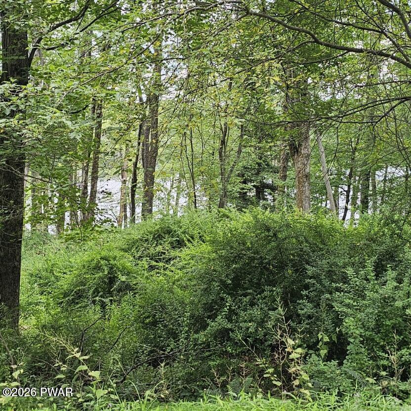 45 Lake Russell Road Newfoundland, PA 18445 - Photo 1 of 9 Gallery Image 1