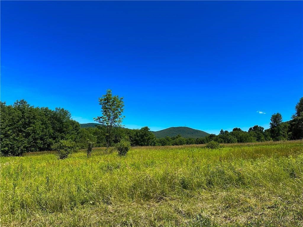 263 Schuman Road Roxbury, NY 12474 - Photo 9 of 13