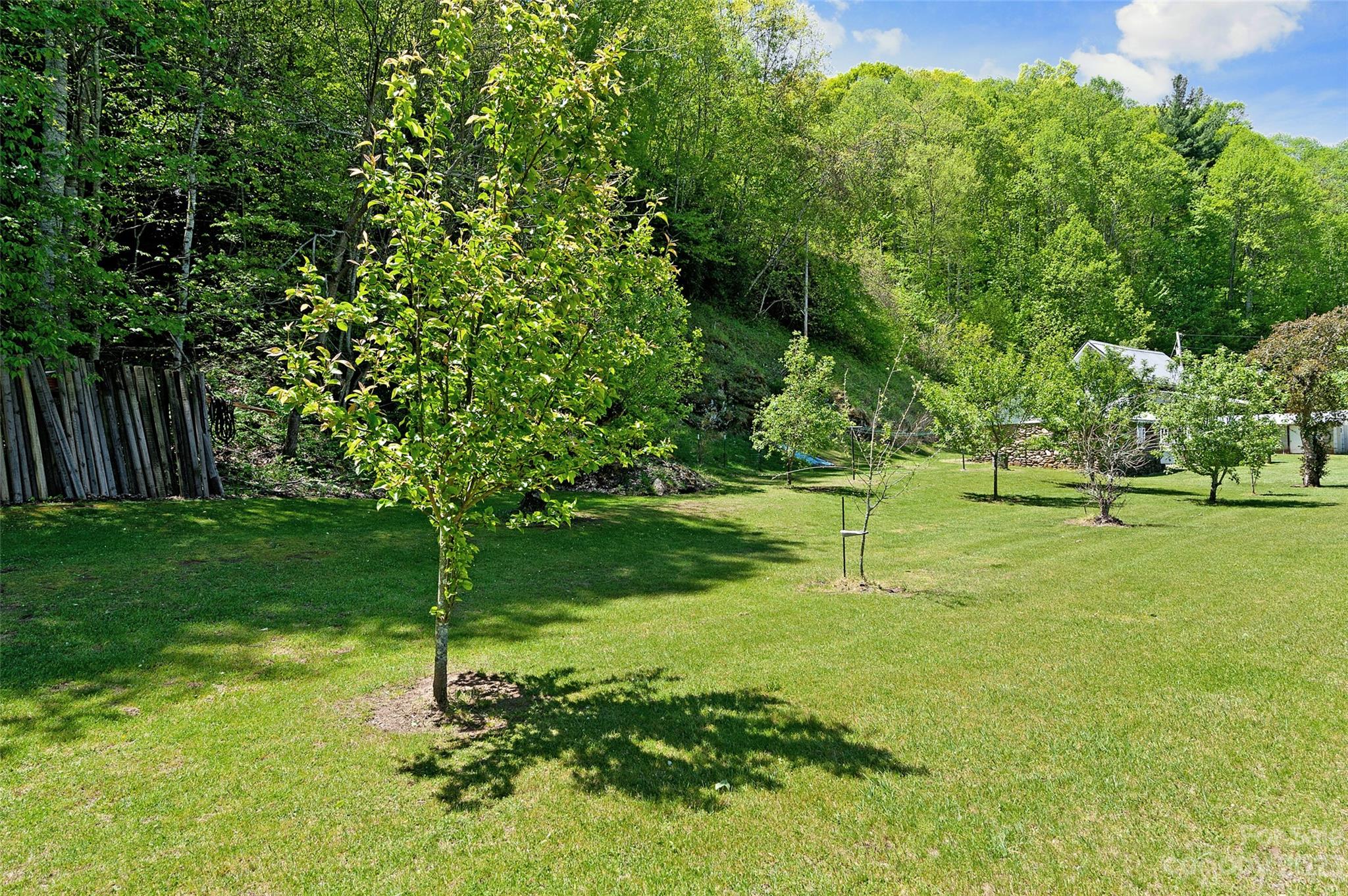 2851 Love Joy Road Canton, NC 28716 - Photo 21 of 24 Gallery Image 21