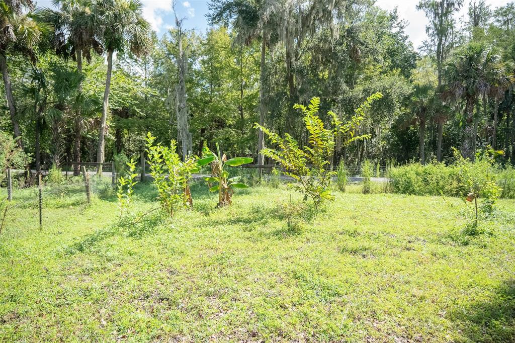 1275 East Osceola Road Geneva, FL 32732 - Photo 58 of 59 Gallery Image 58