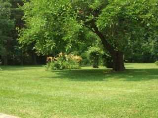 200 Mayfield Road Wexford, PA 15090 - Photo 8 of 8 Yard/Garden.