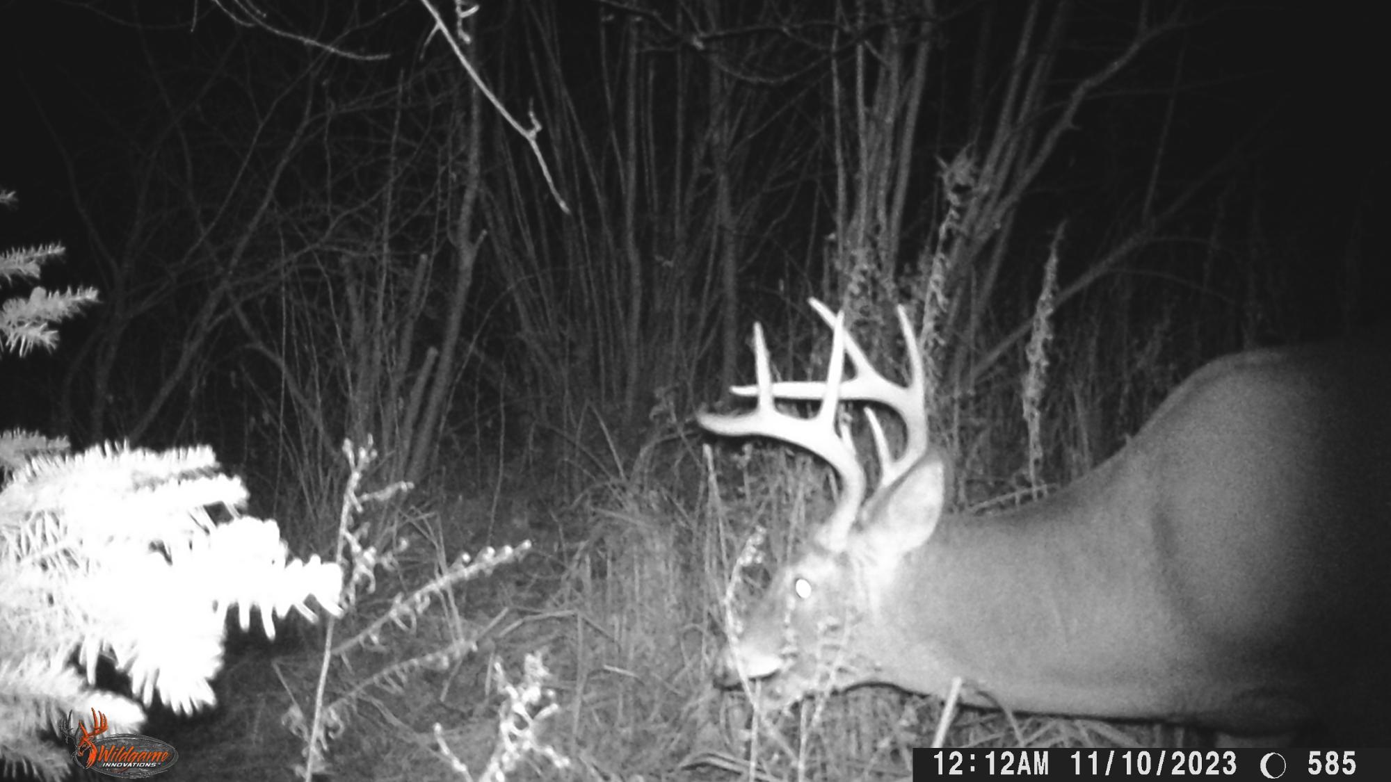 20-acres Cloverland Road Conrath, WI 54731 - Photo 11 of 31