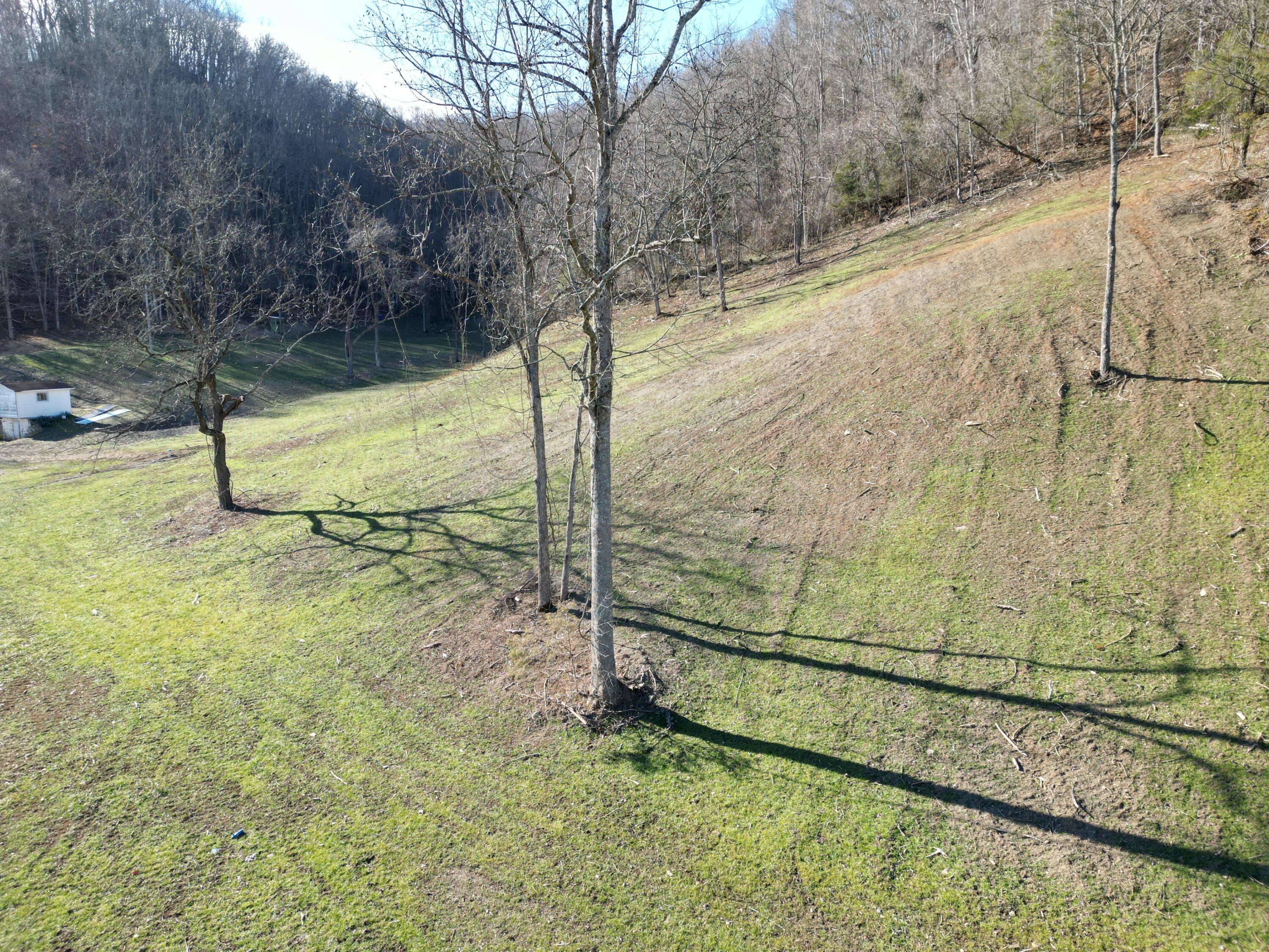 54 Pond Ridge Road Lindside, WV 24951 - Photo 15 of 80 Gallery Image 15