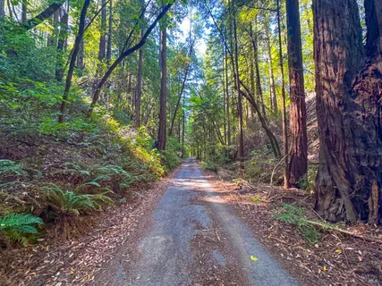 $8,500,000 | 3150 Mill Creek Road, Healdsburg, CA 95448