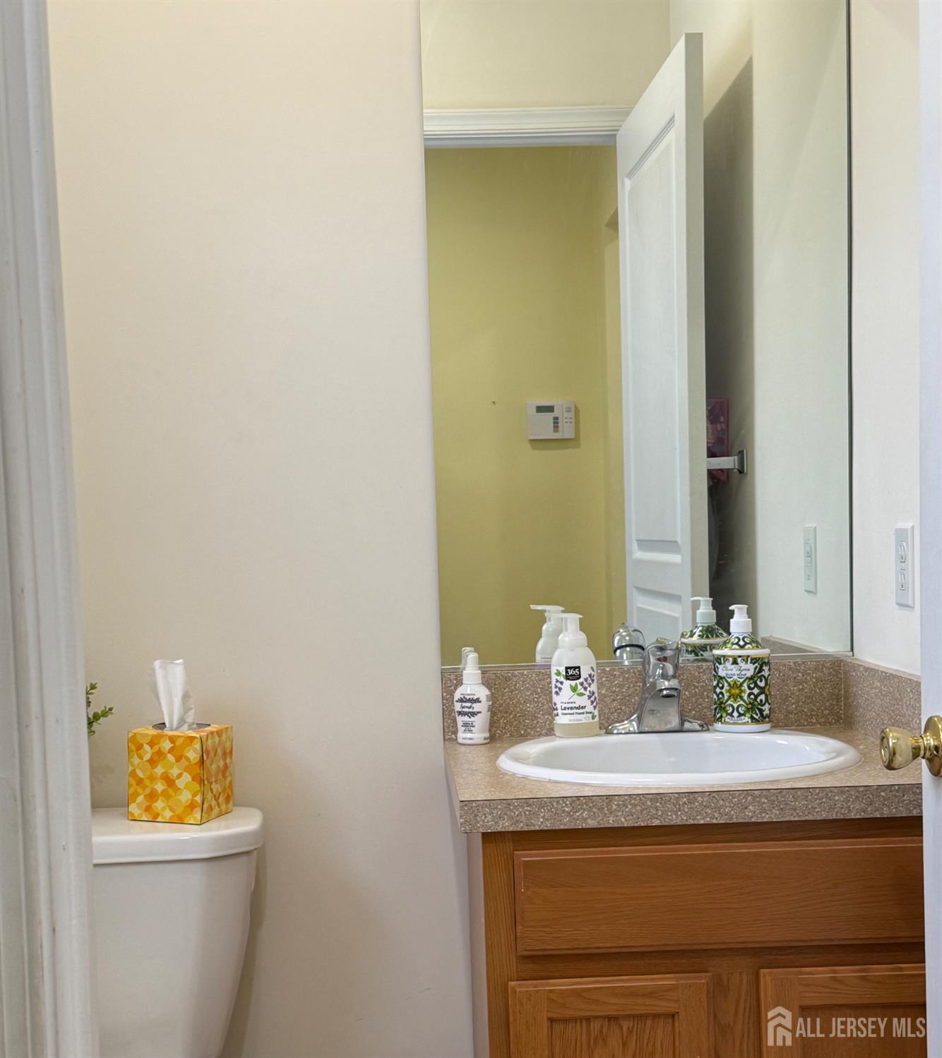 34 Mercer Street Carteret, NJ 07008 - Photo 6 of 17 a bathroom with a sink and a mirror