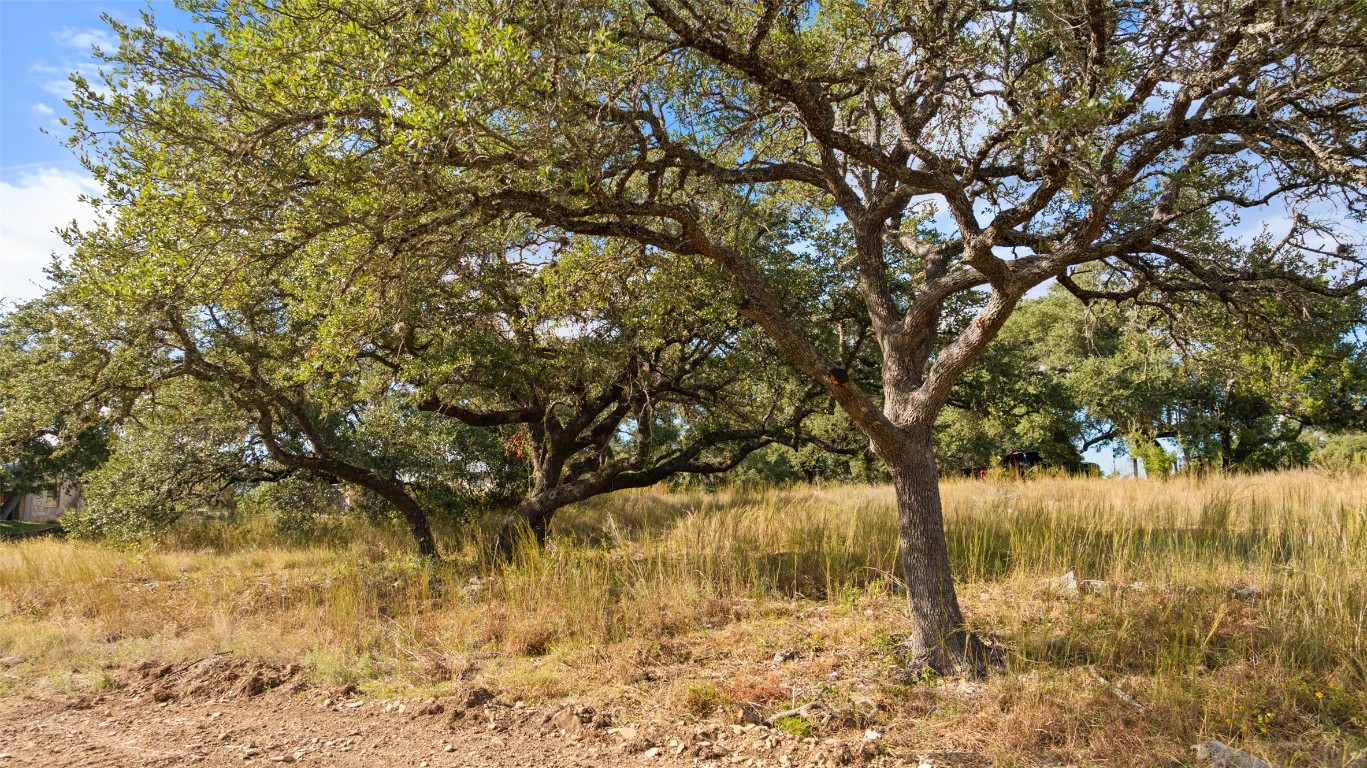 5776-3 Rm 165 Blanco, TX 78606 - Photo 1 of 1 View of undeveloped land