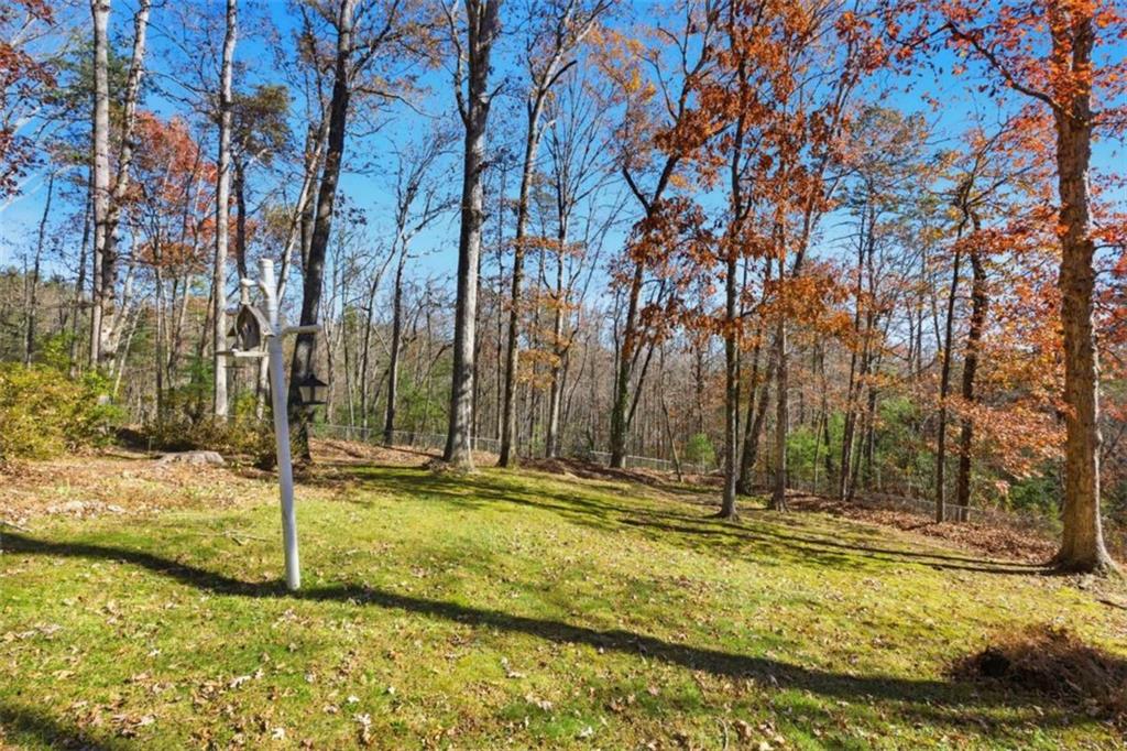 110 Covered Bridge Road Sautee Nacoochee, GA 30571 - Photo 20 of 48