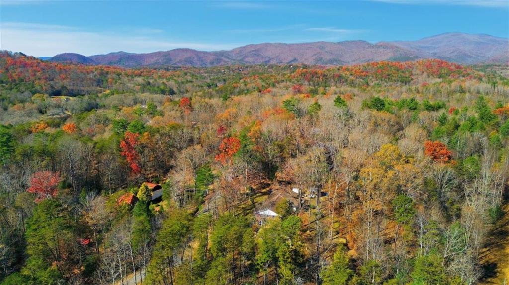 110 Covered Bridge Road Sautee Nacoochee, GA 30571 - Photo 46 of 48