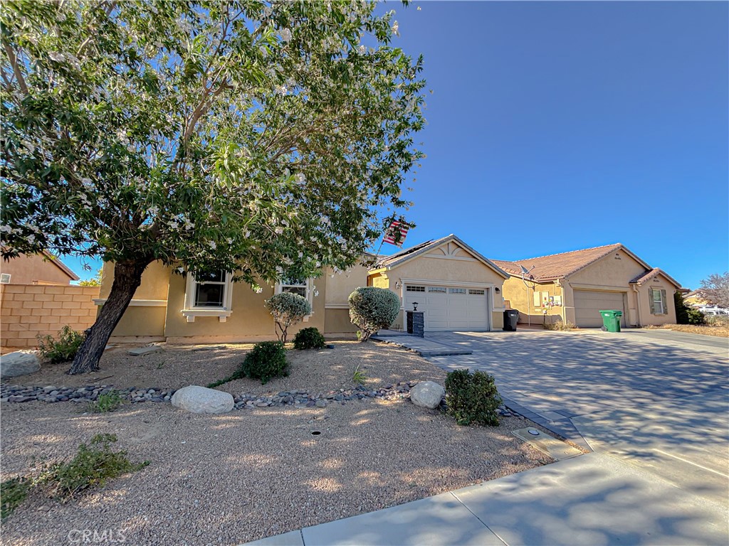 3345 James Court Lancaster, CA 93535 - Photo 2 of 29 a view of a yard in front of a house with large tree